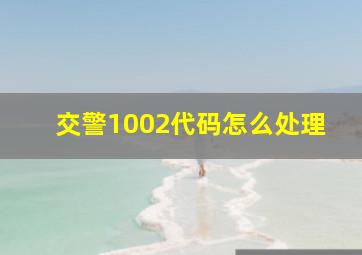 交警1002代码怎么处理