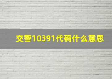 交警10391代码什么意思