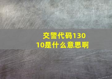 交警代码13010是什么意思啊