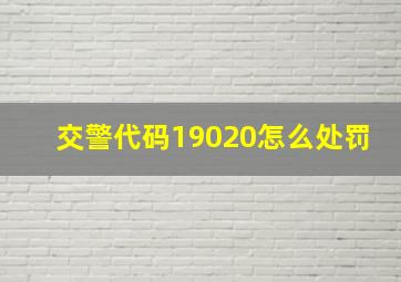 交警代码19020怎么处罚