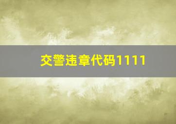 交警违章代码1111