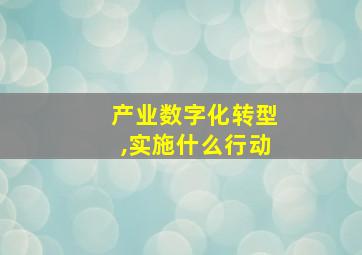 产业数字化转型,实施什么行动