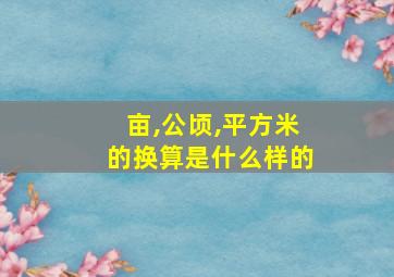 亩,公顷,平方米的换算是什么样的