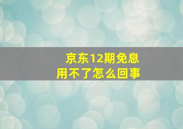 京东12期免息用不了怎么回事