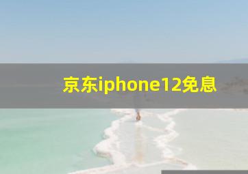 京东iphone12免息