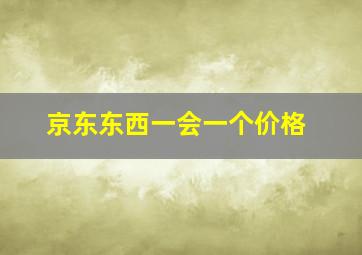 京东东西一会一个价格