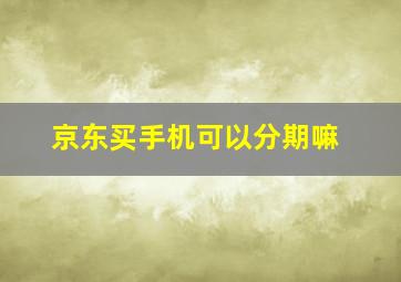 京东买手机可以分期嘛