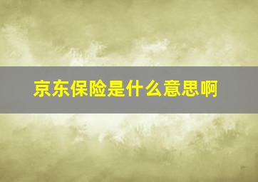 京东保险是什么意思啊