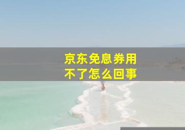 京东免息券用不了怎么回事