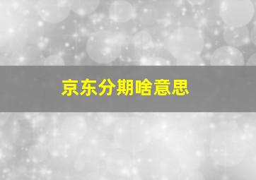 京东分期啥意思