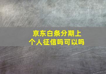 京东白条分期上个人征信吗可以吗