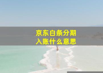 京东白条分期入账什么意思