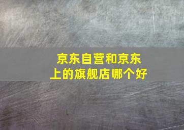 京东自营和京东上的旗舰店哪个好