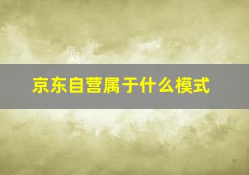 京东自营属于什么模式