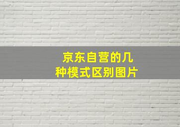 京东自营的几种模式区别图片