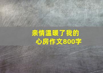 亲情温暖了我的心房作文800字