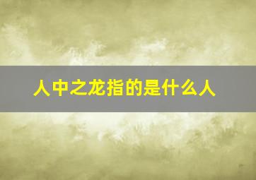 人中之龙指的是什么人