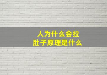 人为什么会拉肚子原理是什么