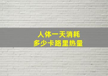 人体一天消耗多少卡路里热量