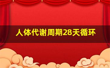 人体代谢周期28天循环