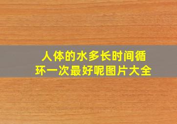 人体的水多长时间循环一次最好呢图片大全