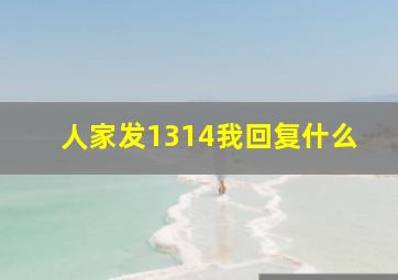 人家发1314我回复什么