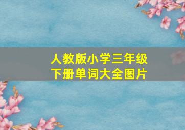 人教版小学三年级下册单词大全图片