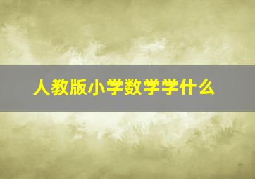 人教版小学数学学什么