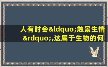 人有时会“触景生情”,这属于生物的何种反射