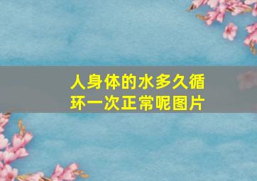 人身体的水多久循环一次正常呢图片