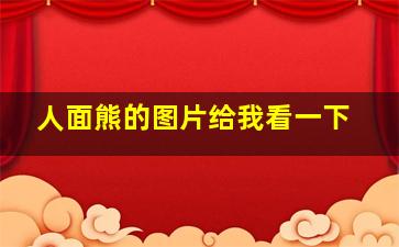 人面熊的图片给我看一下