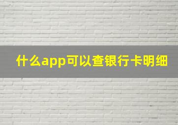 什么app可以查银行卡明细