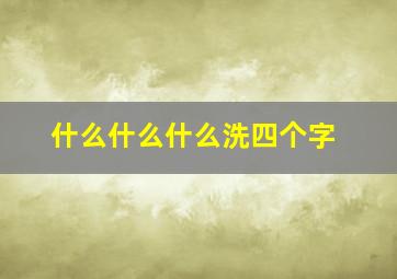 什么什么什么洗四个字