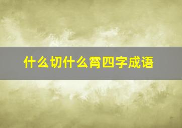 什么切什么霄四字成语