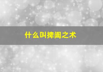 什么叫捭阖之术