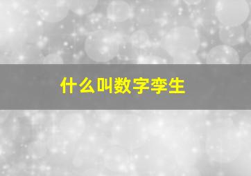 什么叫数字孪生