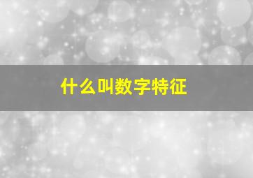 什么叫数字特征