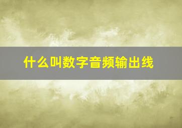 什么叫数字音频输出线