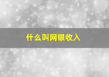 什么叫网银收入