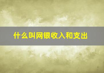 什么叫网银收入和支出