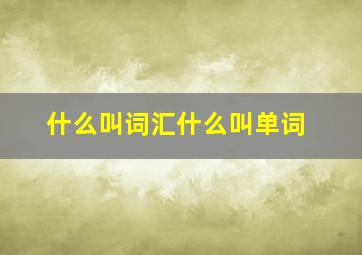 什么叫词汇什么叫单词