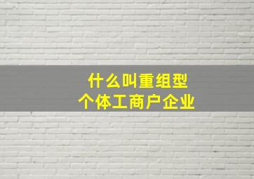 什么叫重组型个体工商户企业