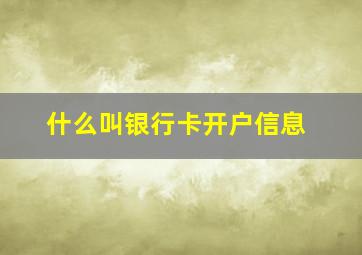 什么叫银行卡开户信息