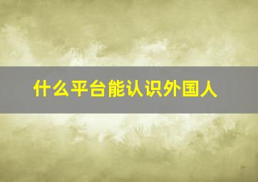 什么平台能认识外国人