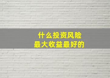 什么投资风险最大收益最好的