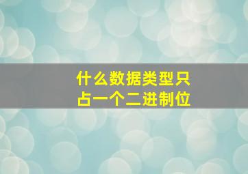 什么数据类型只占一个二进制位