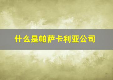 什么是帕萨卡利亚公司