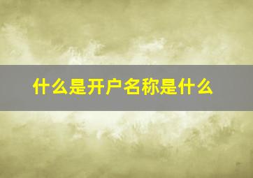 什么是开户名称是什么