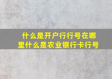 什么是开户行行号在哪里什么是农业银行卡行号