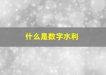 什么是数字水利